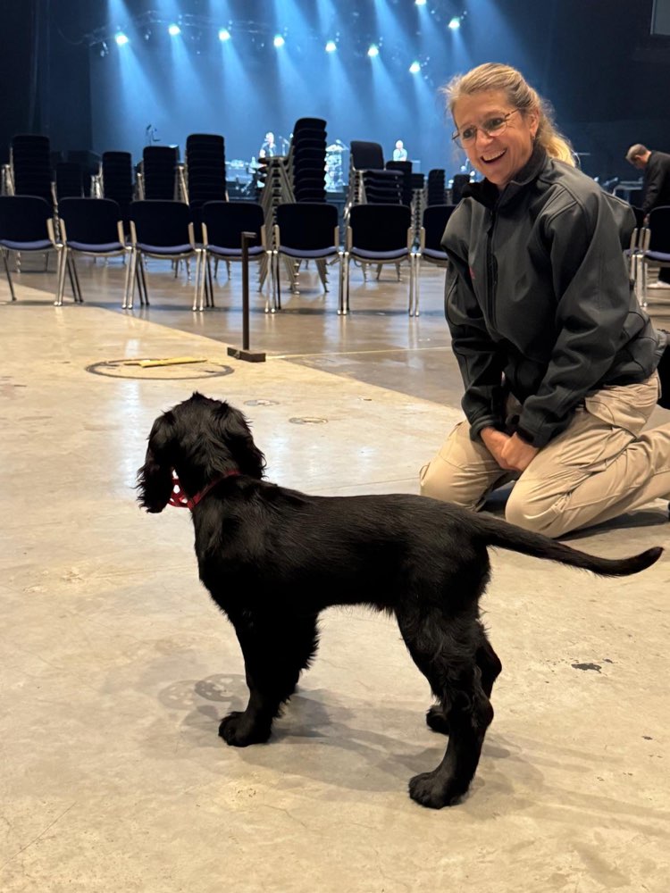 Hundetreffen-Workshop Spürhundearbeit-Profilbild