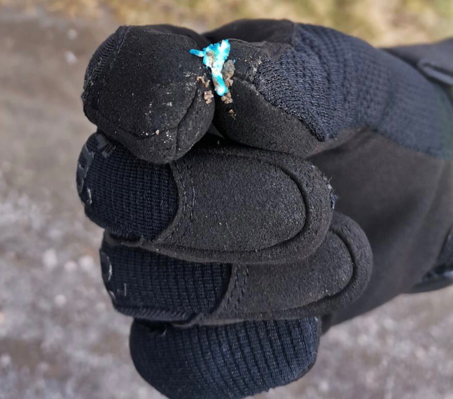 Giftköder-Vermutlich Giftköder-Profilbild