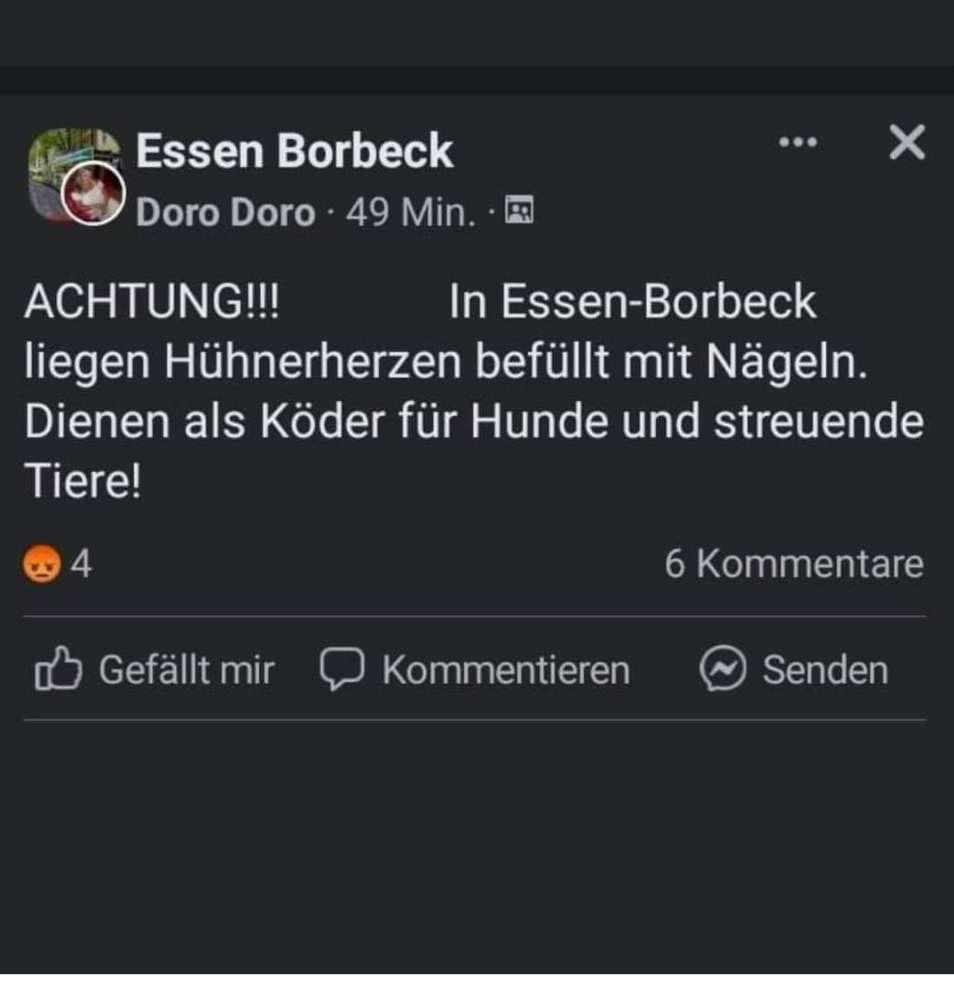 Giftköder-Achtung! Hühnerherzen mit Nägel-Profilbild