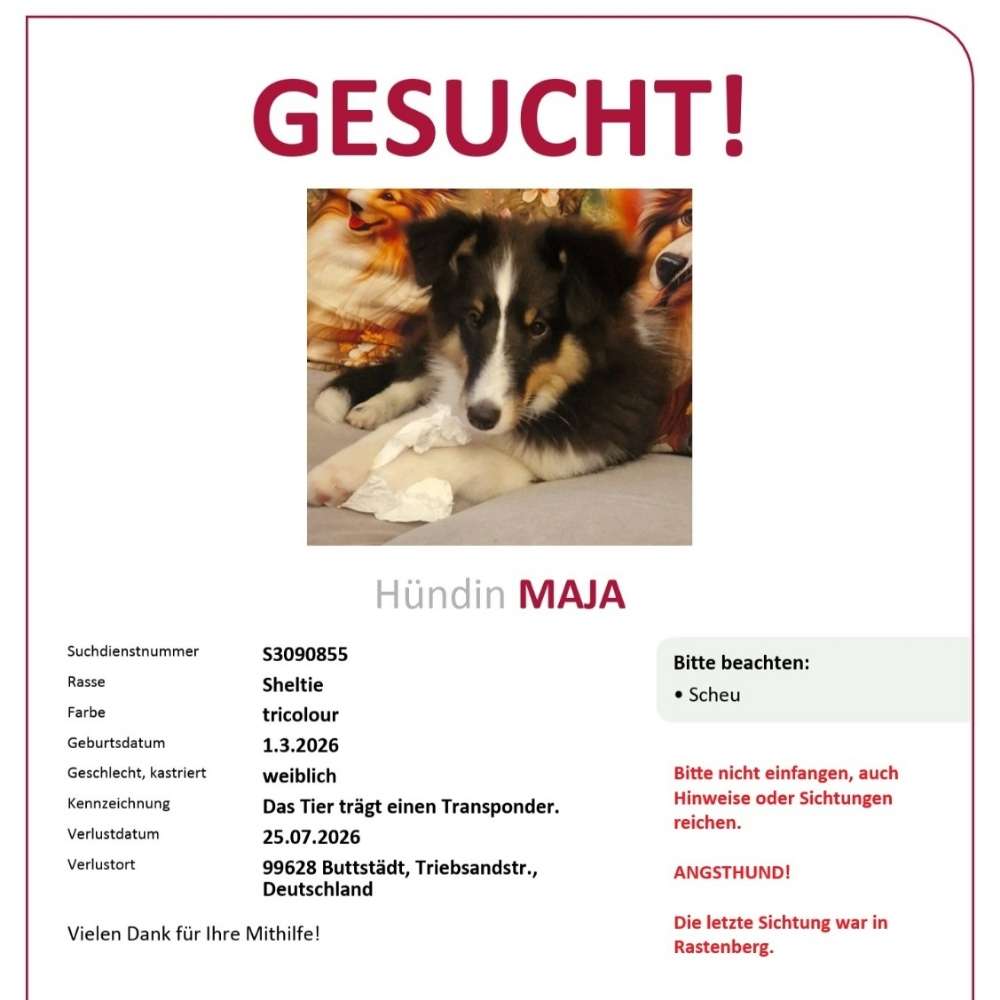 Suchmeldung-Maja-Profilbild