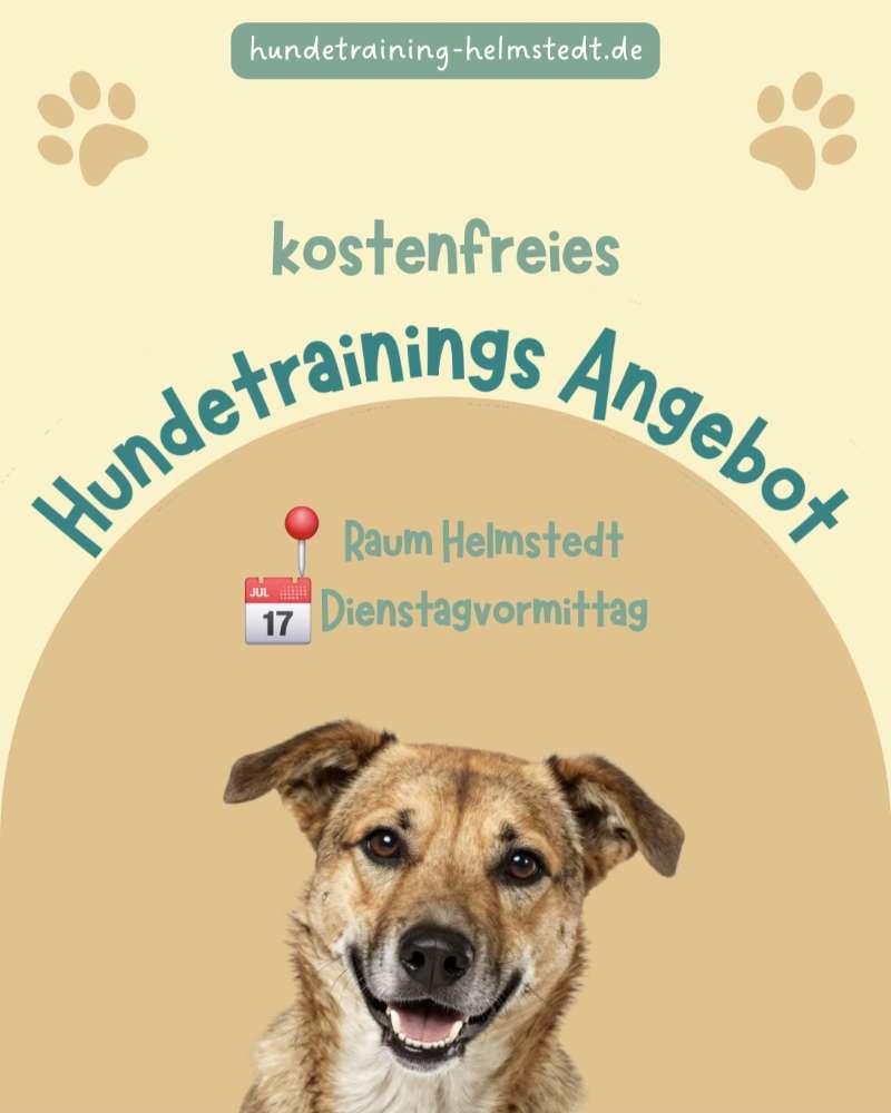 Hundetreffen-kostenfreies Einzeltraining für Mensch-Hund-Teams-Profilbild