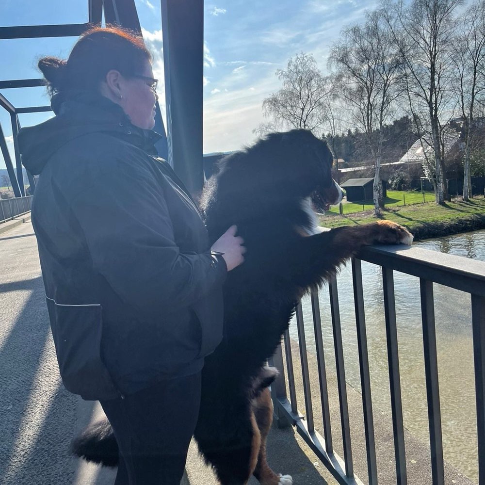 Hundetreffen-Freunde treffen-Profilbild
