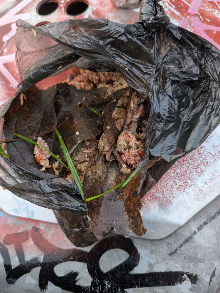 Giftköder-Mögliche Giftköder-Profilbild