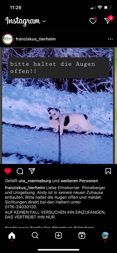 Suchmeldung-Andy-Profilbild