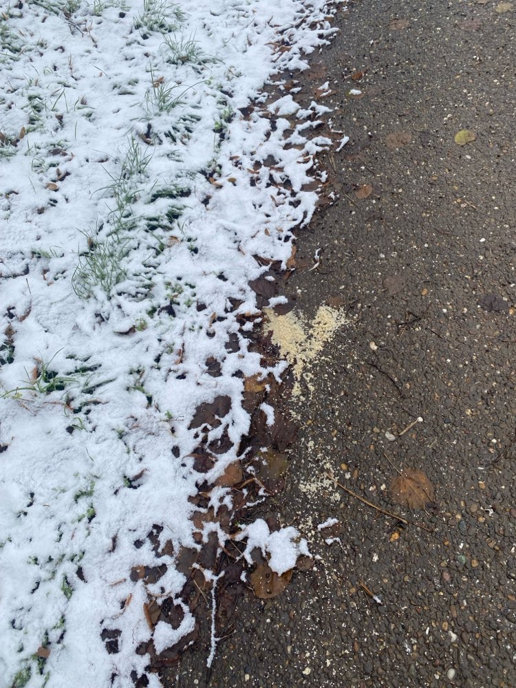 Häufchen aus Hirse/Quinoa? in Stuttgart – 2. Dezember 2023 – Dogorama App