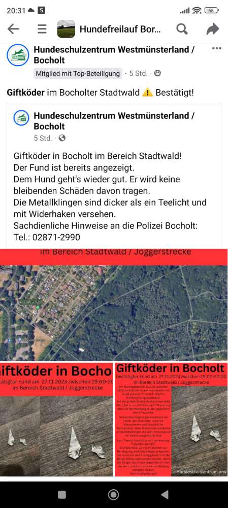 Giftköder-Giftköder Stadtwald-Profilbild