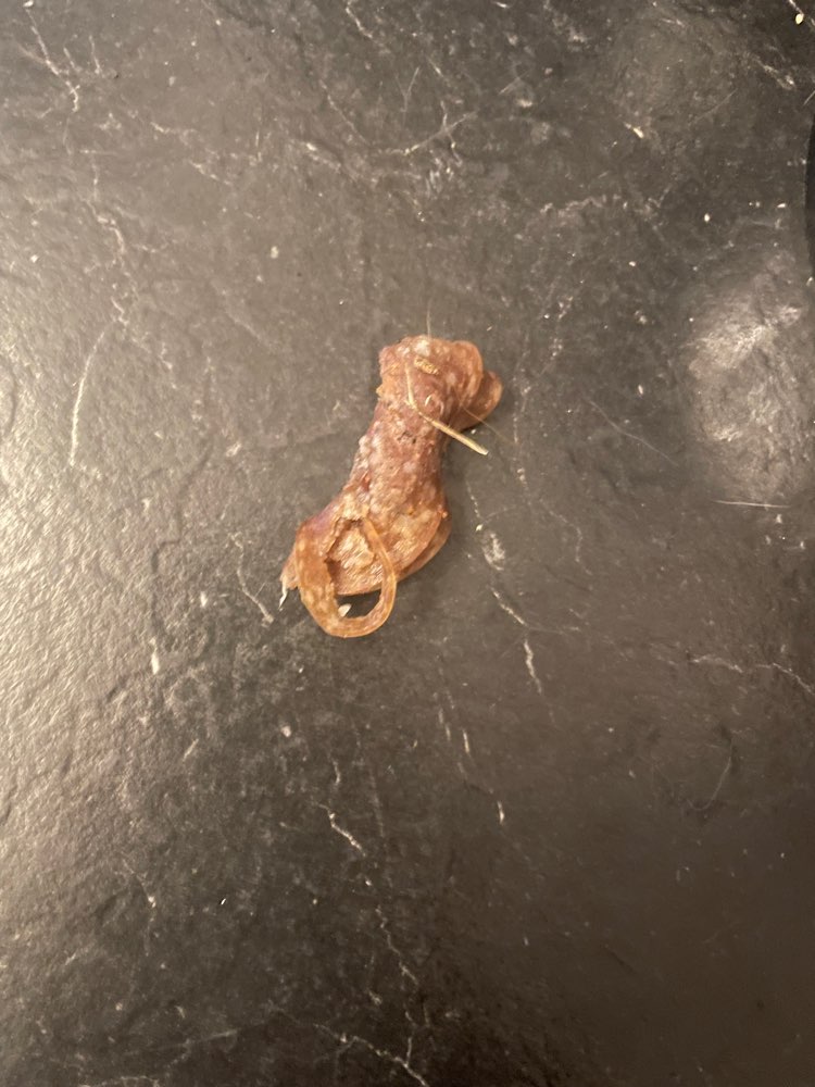 Giftköder-Salami Stücke eingerollt!! Achtung-Profilbild