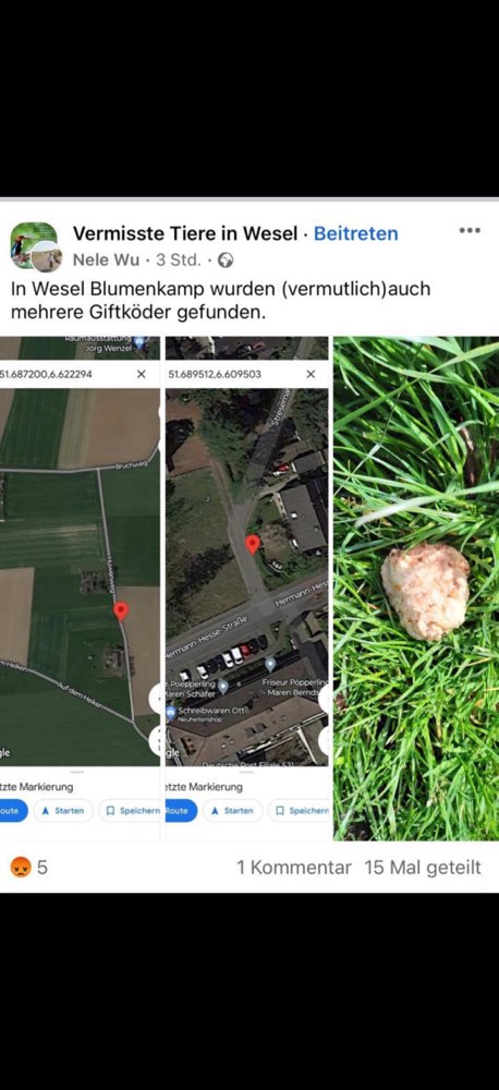 Giftköder-Giftköder-Profilbild