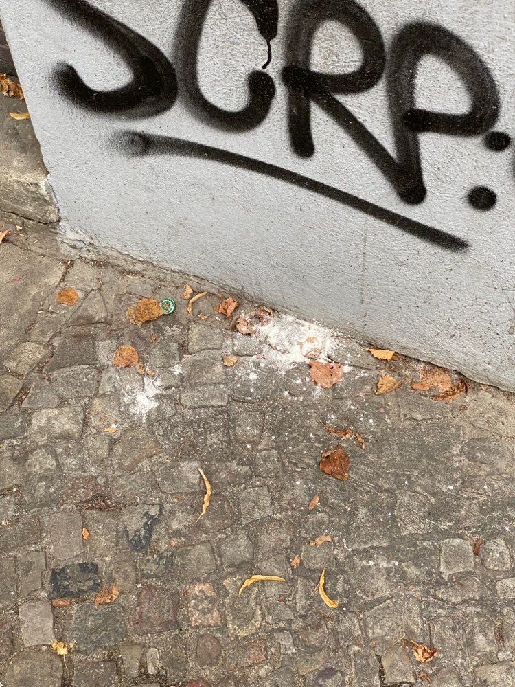 Giftköder-Vermutlich giftiges Pulver-Profilbild