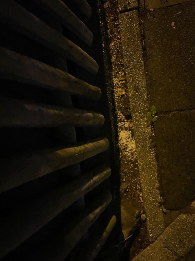 Giftköder-Salz oder Gift?-Profilbild