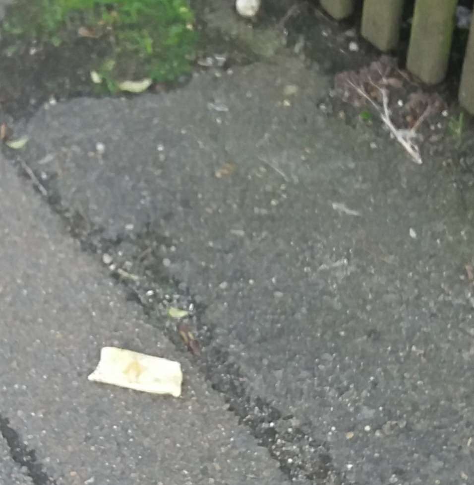 Giftköder-Ausgelegtes Speck oder Ähnliches-Profilbild