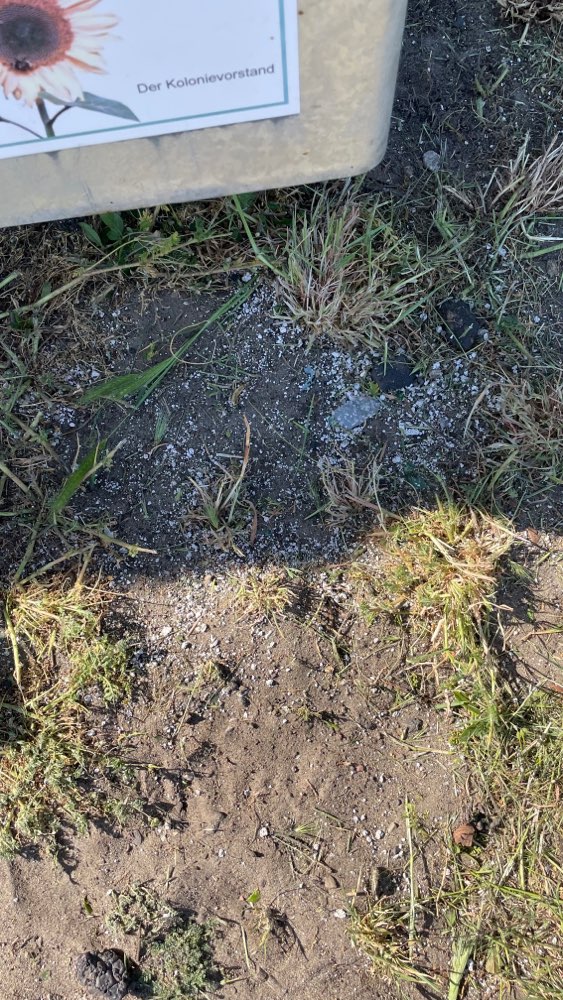 Giftköder-Rattengift-Profilbild