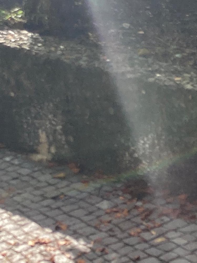 Giftköder-Weißes Pulver-Profilbild