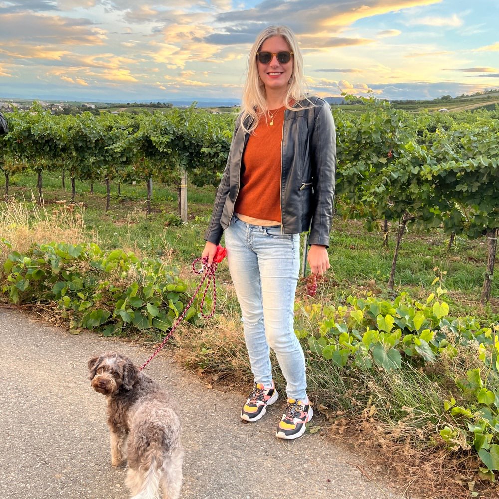 Hundetreffen-Spaziergang und Spielen-Profilbild