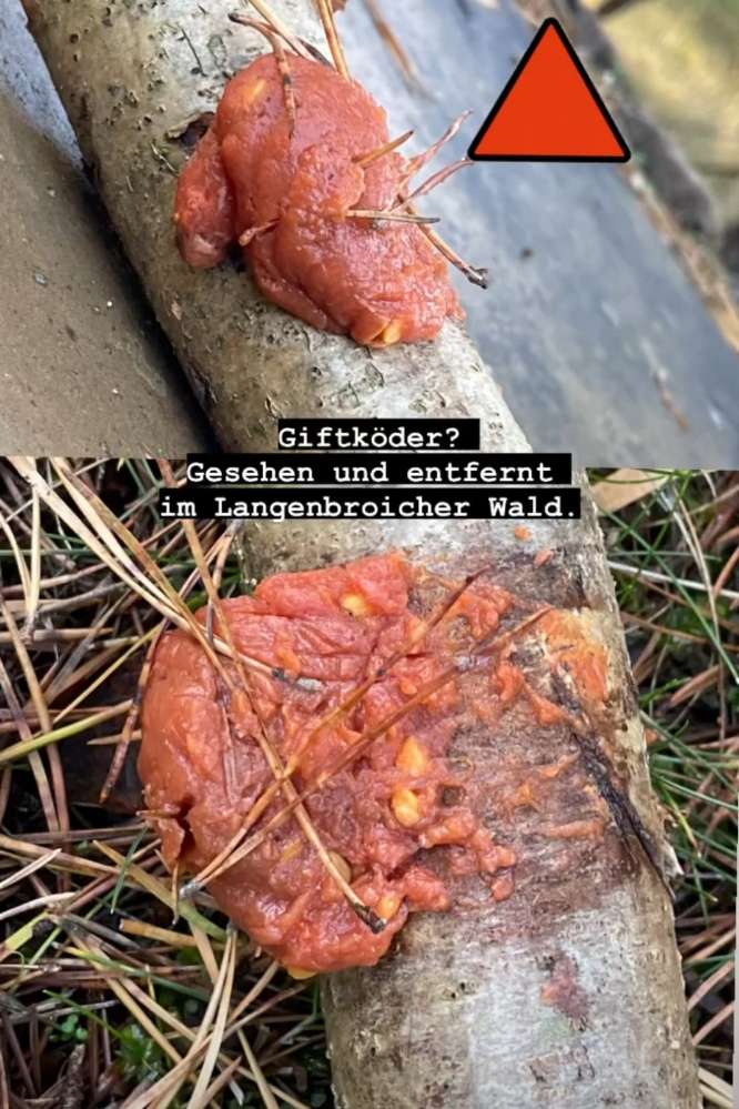 Giftköder-Vermutlich Giftköder-Profilbild