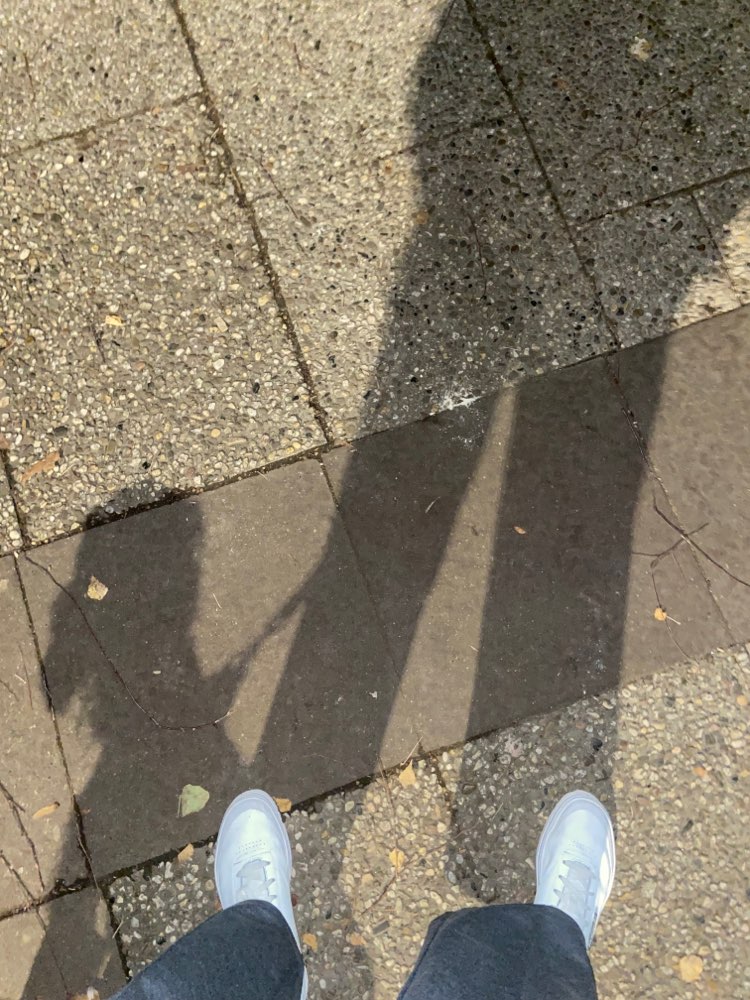 Giftköder-Rattengift-Profilbild