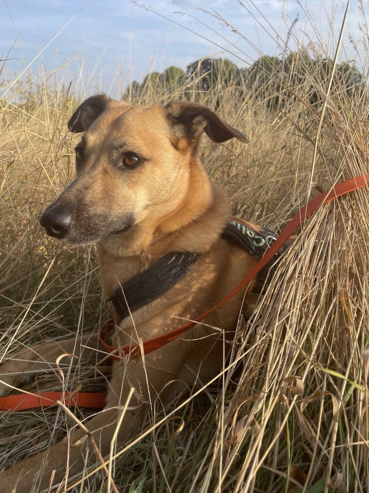 Suchmeldung-Calina-Profilbild