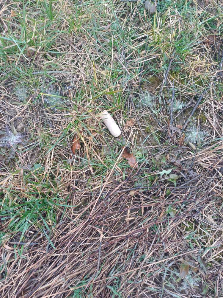Giftköder-Wurstücke im Feld gefunden-Profilbild