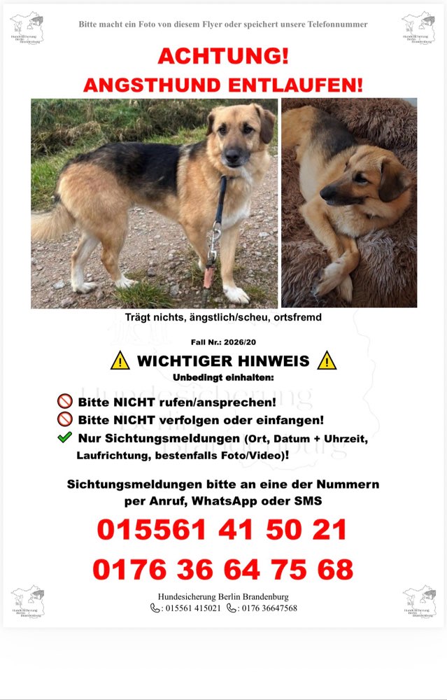 Suchmeldung-Stitch-Profilbild