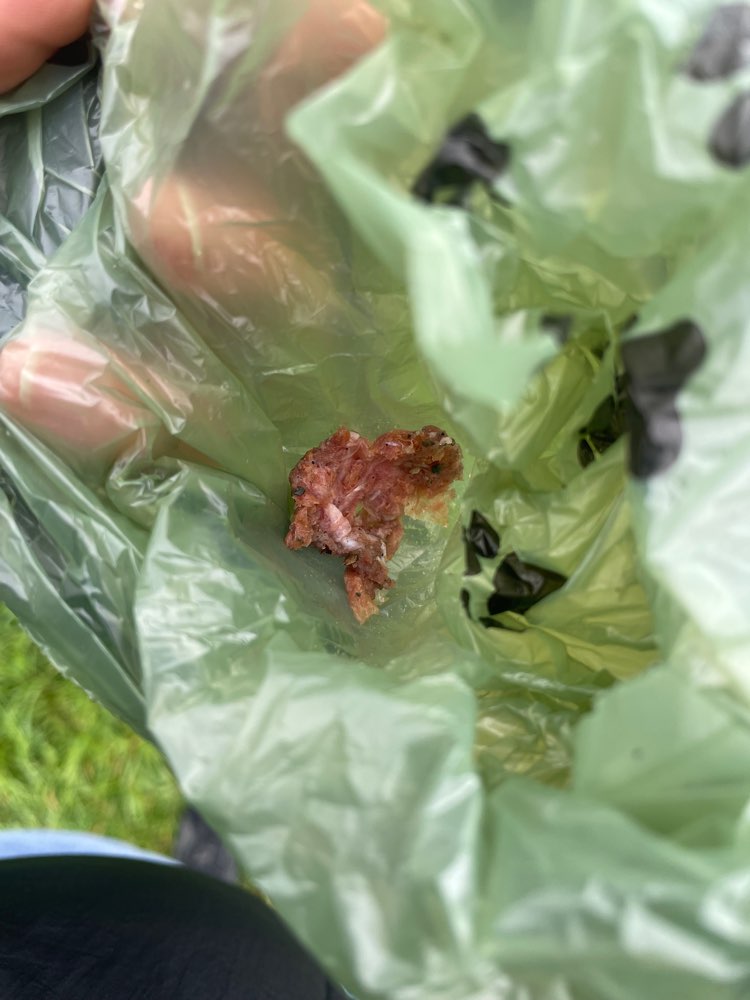Giftköder-Giftköder-Profilbild