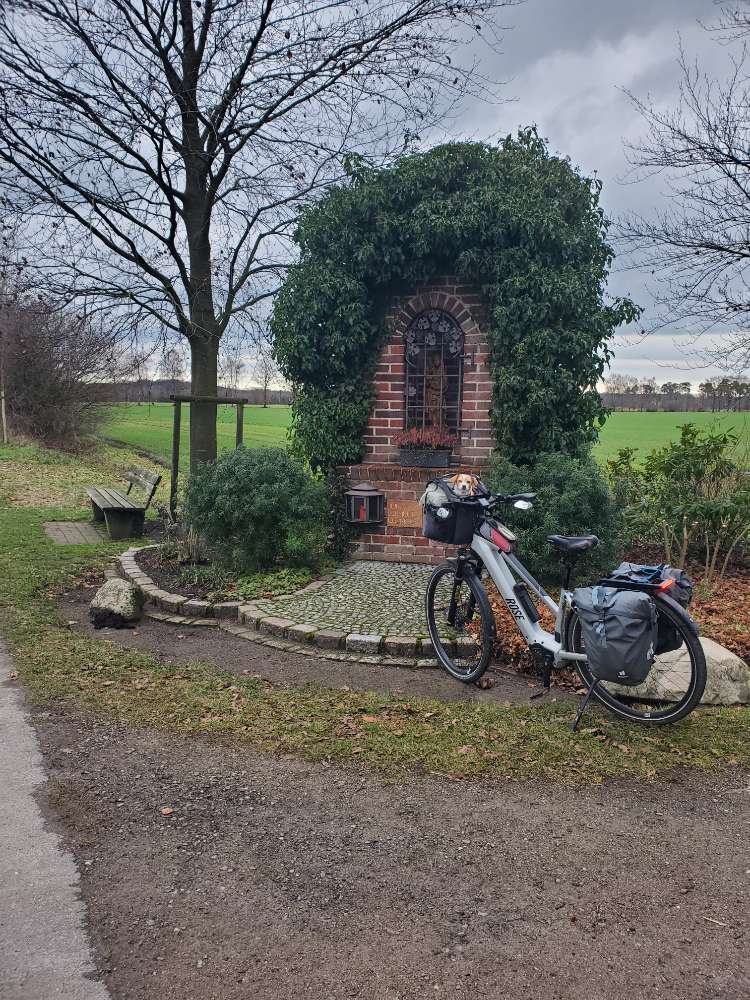 Hundetreffen-Ebike-Touren mit Hund (im Körbchen)-Profilbild