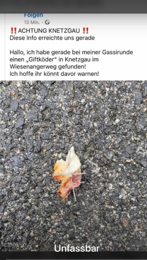 Giftköder-Giftköder-Profilbild