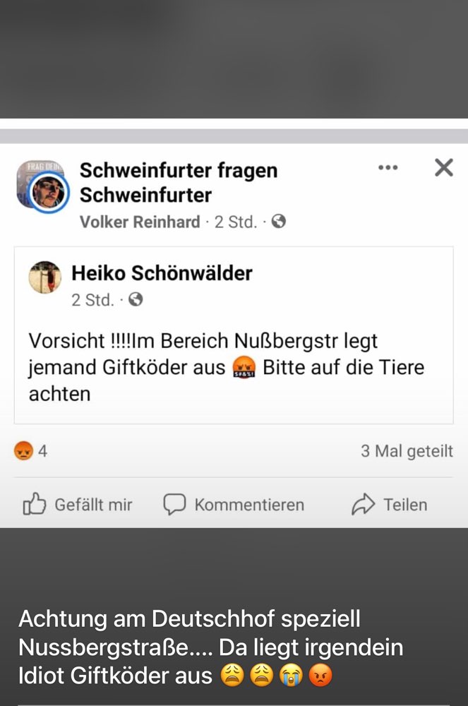 Giftköder-Giftköder-Profilbild