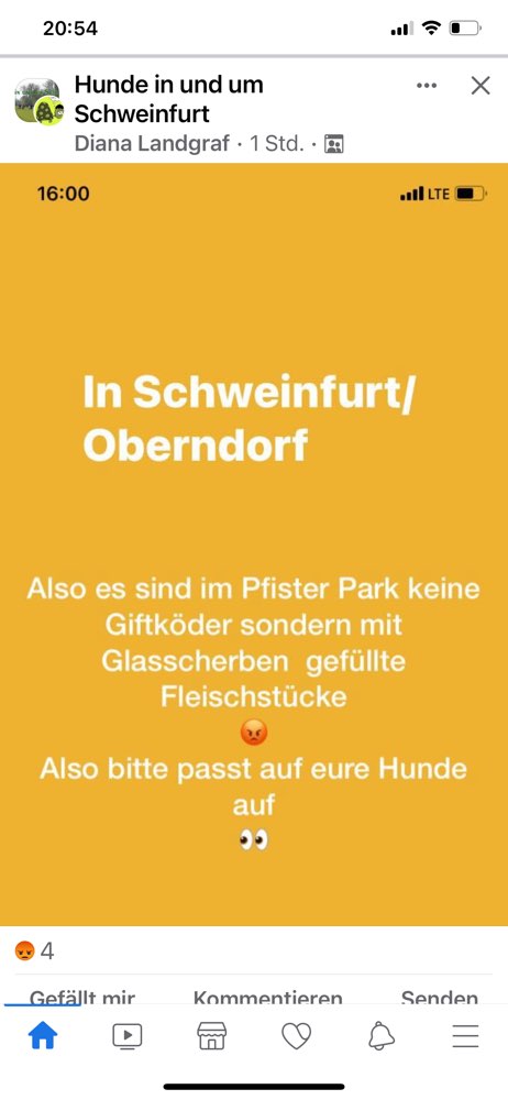 Giftköder-Fleisch mit Scherben-Profilbild