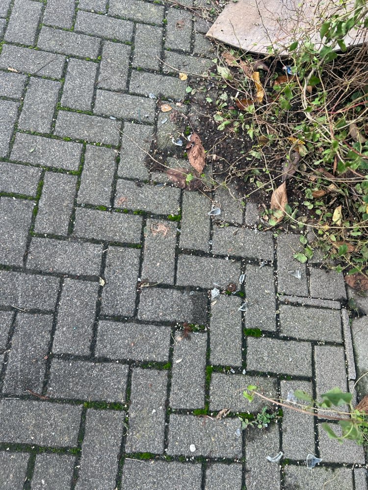 Giftköder-Glasscherben-Profilbild