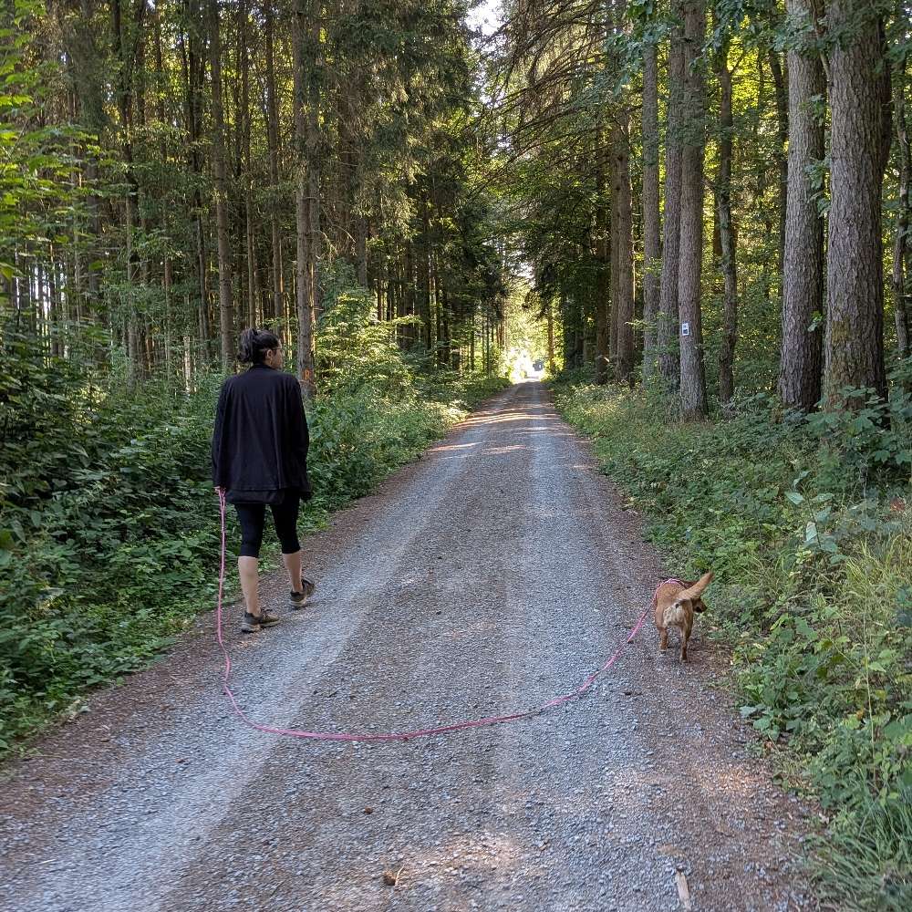 Hundetreffen-🐾 Gassi-Runde gesucht? Dann lauf doch mal mit! 🐾-Profilbild