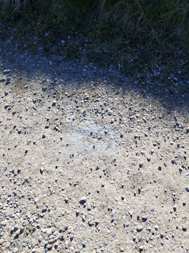 Giftköder-Blaues Pulver-Profilbild