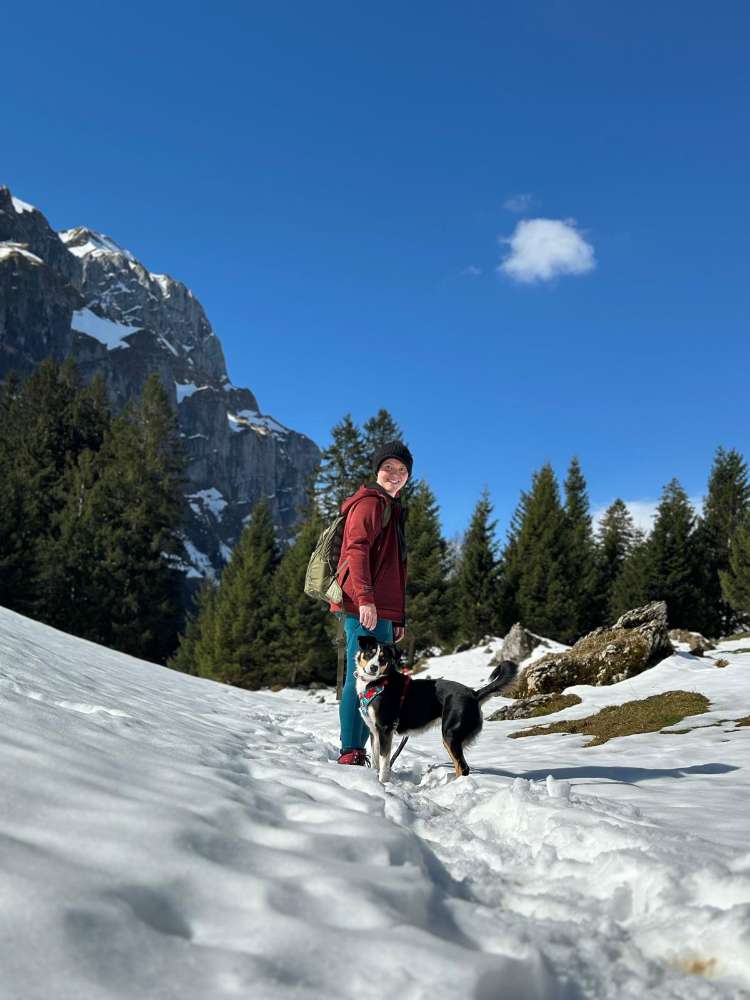 Hundetreffen-Spielen und spazieren in Wald-Profilbild