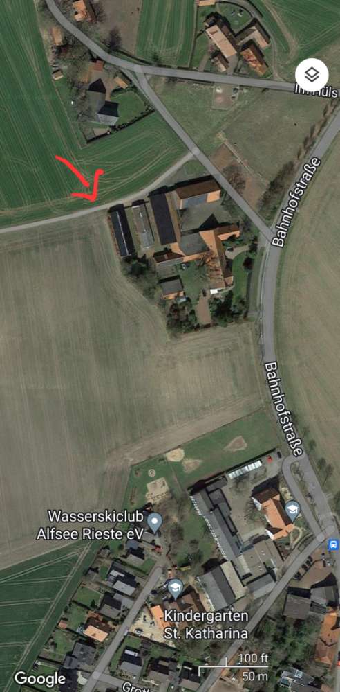 Giftköder-Hackbällchen im Gras-Profilbild