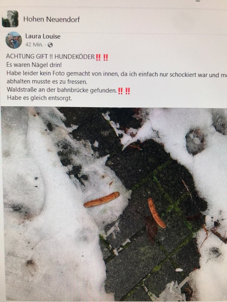 Giftköder-Würste mit Nägel versehen-Profilbild