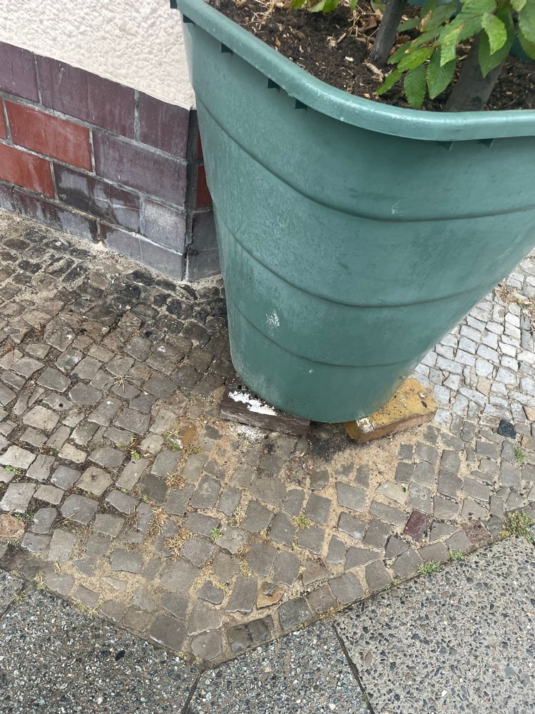 Giftköder-Weißes Pulver-Profilbild