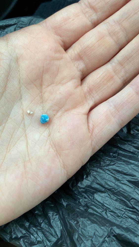 Giftköder-Achtung Blaue Kügelchen-Profilbild