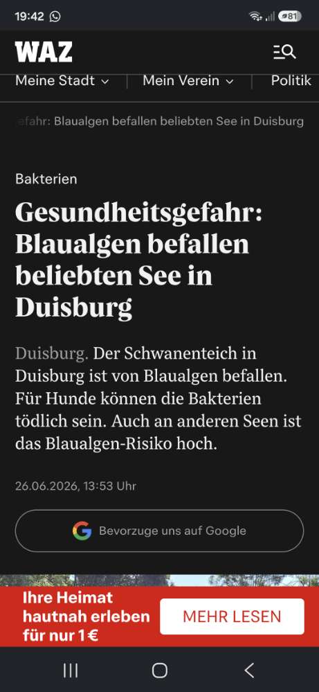 Giftköder-Blaualgen im Schwanenteich-Profilbild