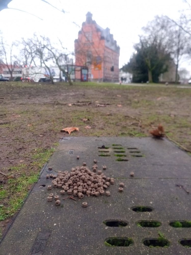 Giftköder-Hundefutter mit Schneckenkorn-Profilbild