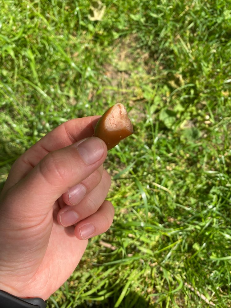 Giftköder-Wurst-Profilbild