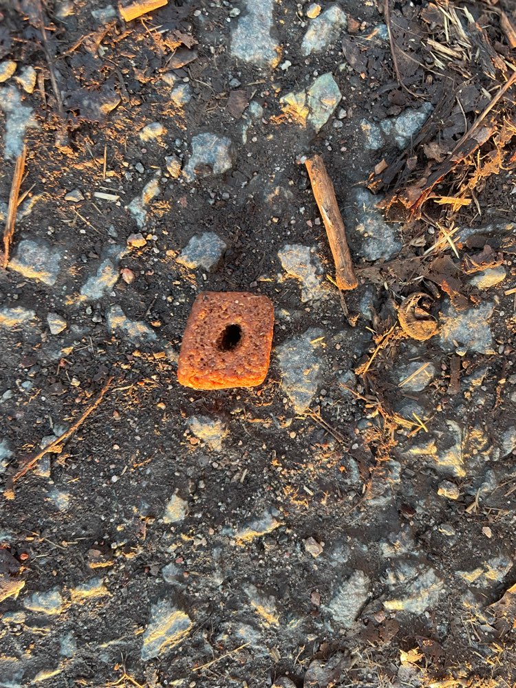 Giftköder-Leckerlies verteilt?-Profilbild