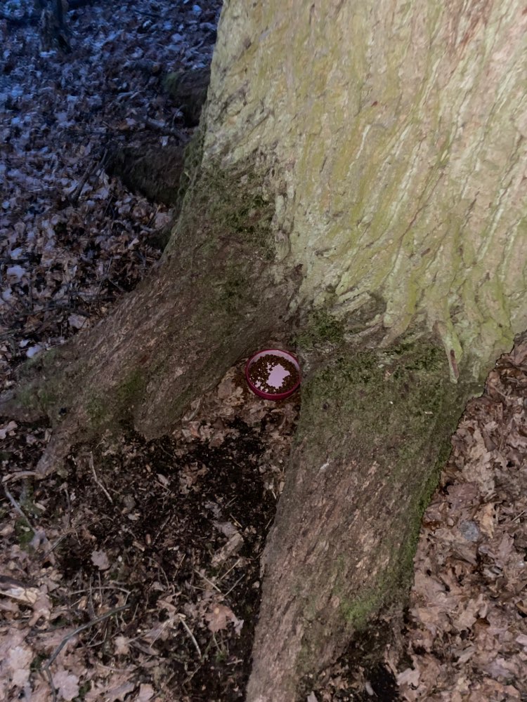 Giftköder-Giftköder?!-Profilbild