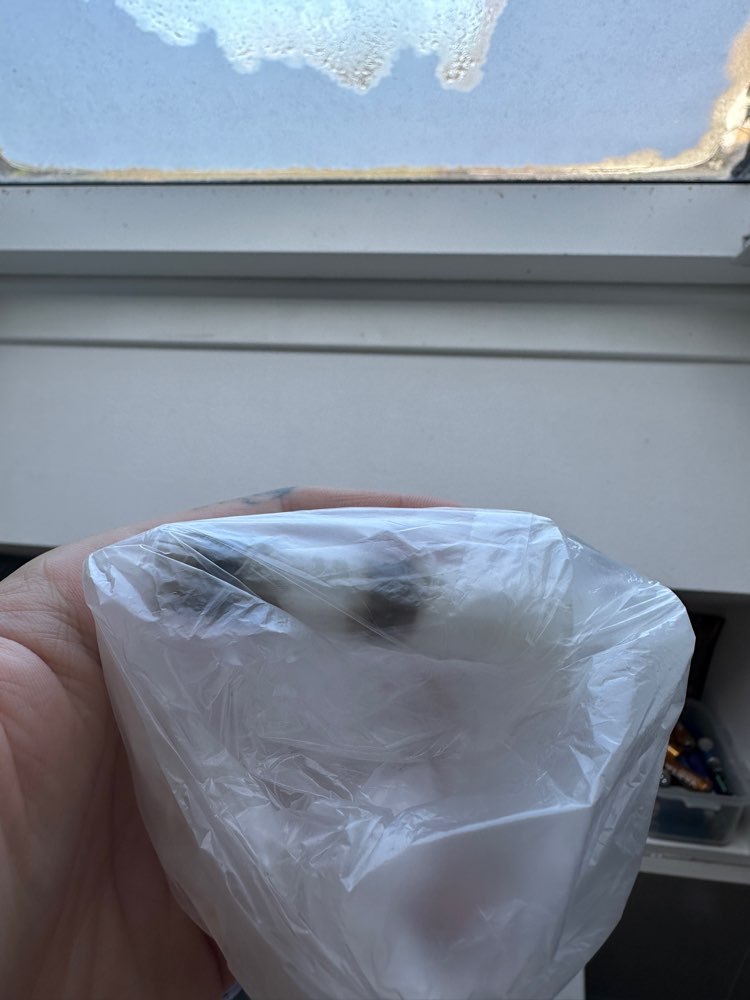 Giftköder-Noch unbekannter Inhalt / Gift?-Profilbild