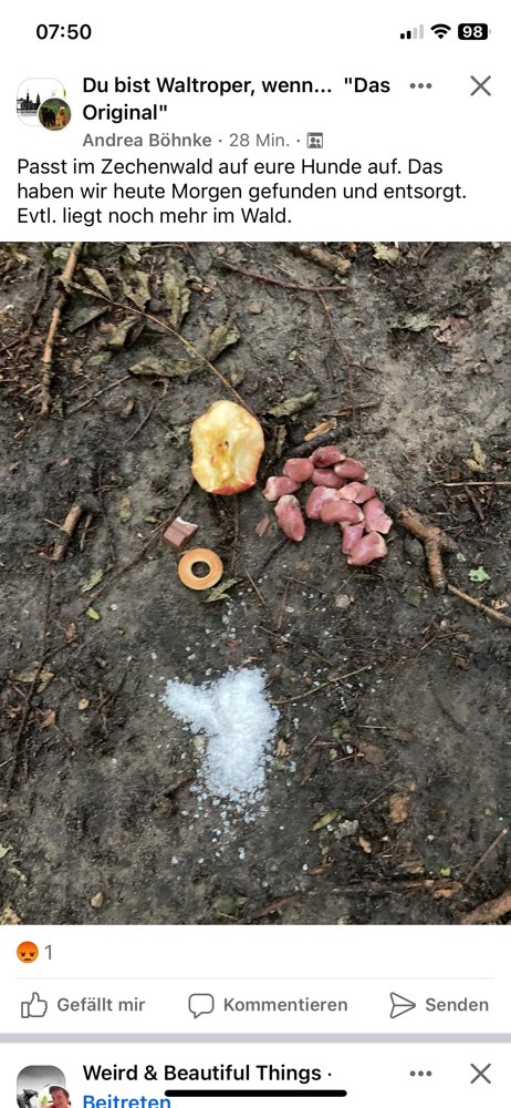 Giftköder-Giftköder-Profilbild