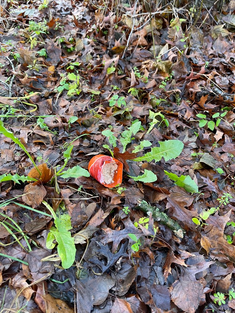 Giftköder-Fleischwurst ausgelegt-Profilbild