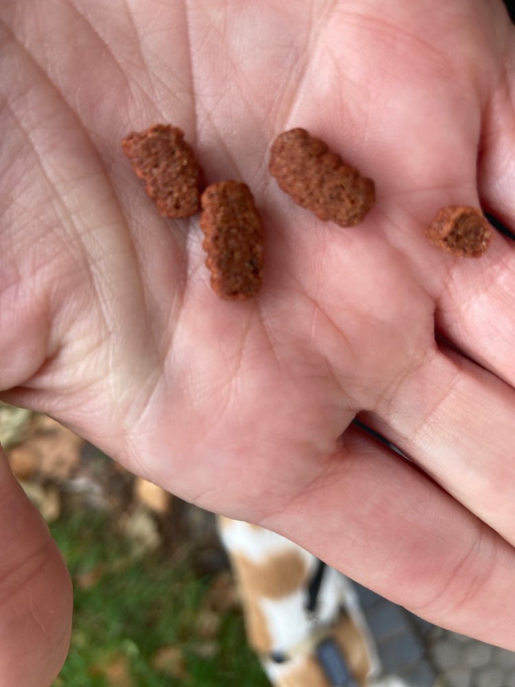 Giftköder-Verdächtiges Trockenfutter-Profilbild