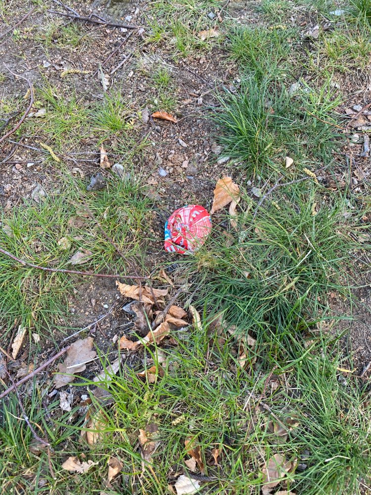 Giftköder-Möglicher giftköder-Profilbild