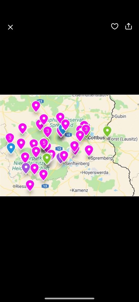 Hundetreffen-Hunde Community-Profilbild