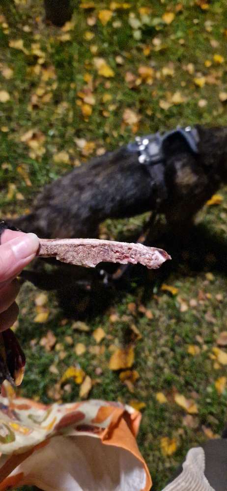 Giftköder-Knochenreste-Profilbild