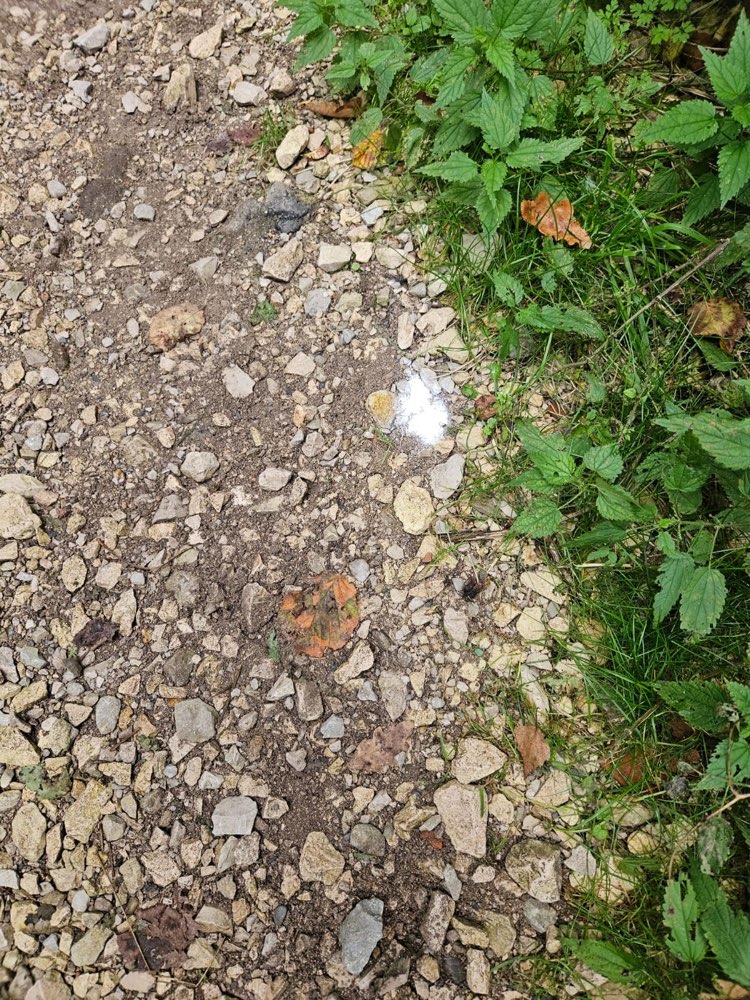 Giftköder-Weißes Pulver-Profilbild