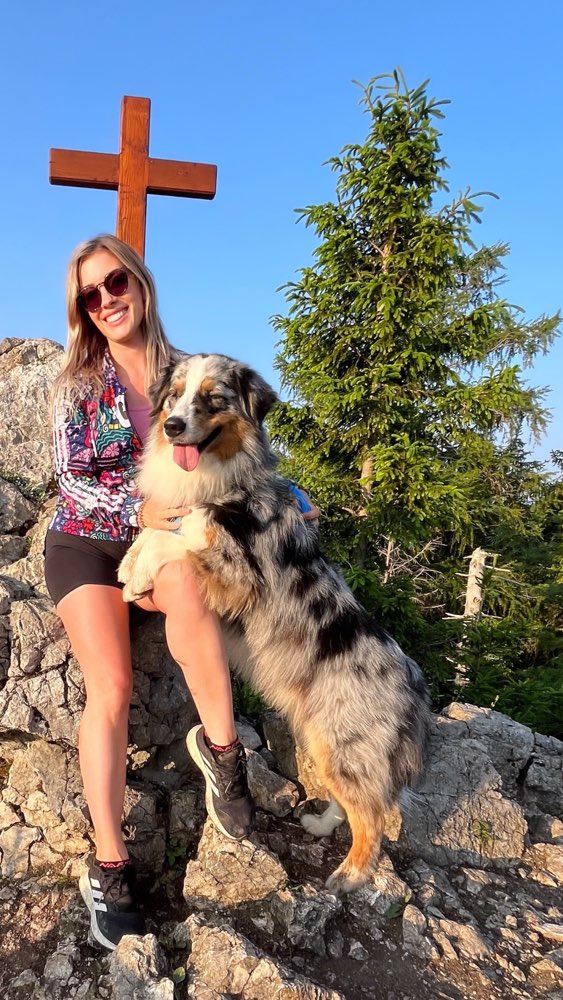 Hundetreffen-Spiel und Spaziergefährte gesucht-Profilbild